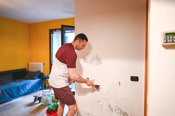 Best Mold Removal Near Me  in Hlcrest, IL