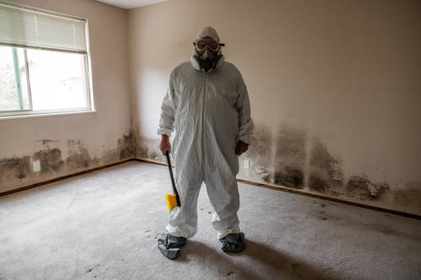Best Mold Testing  in Hlcrest, IL